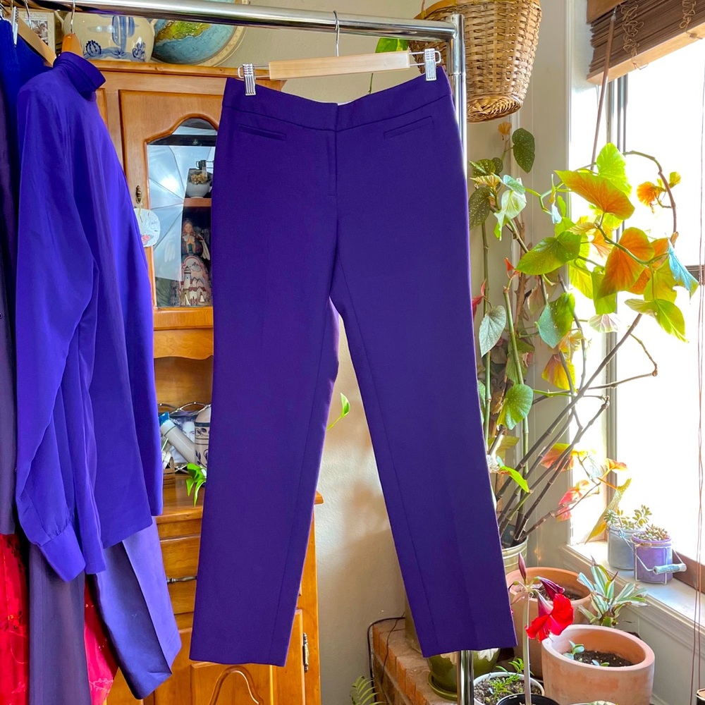 LOFT purple Julie pant trousers size 2